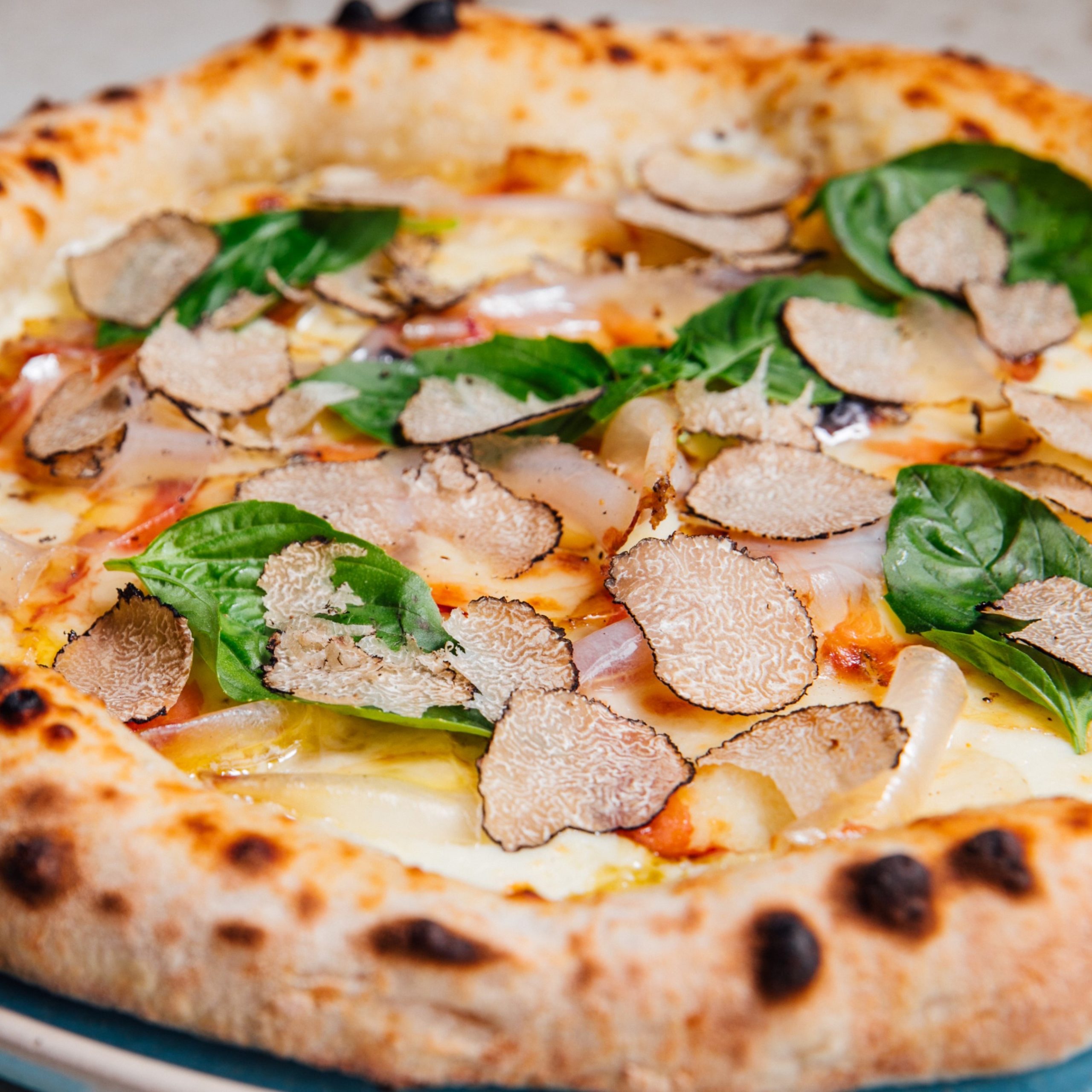 BLACK TRUFFLE PIZZA